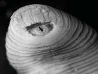 /album/fotogaleria/r-1-jpg1/
